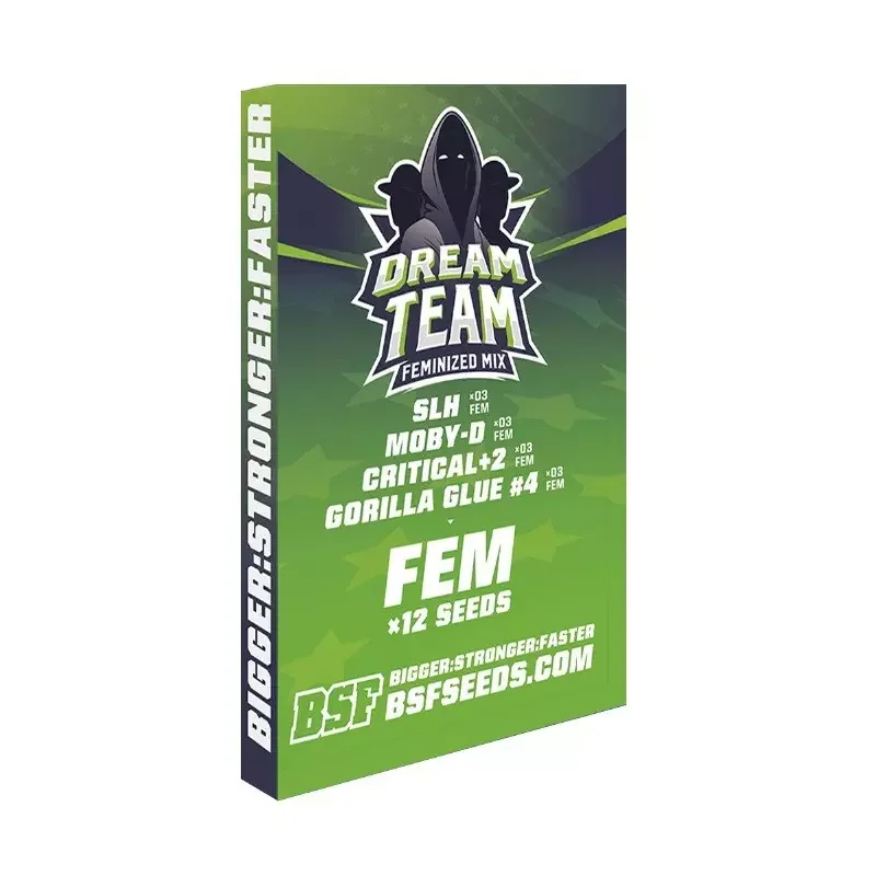 Dream Team Mix 5