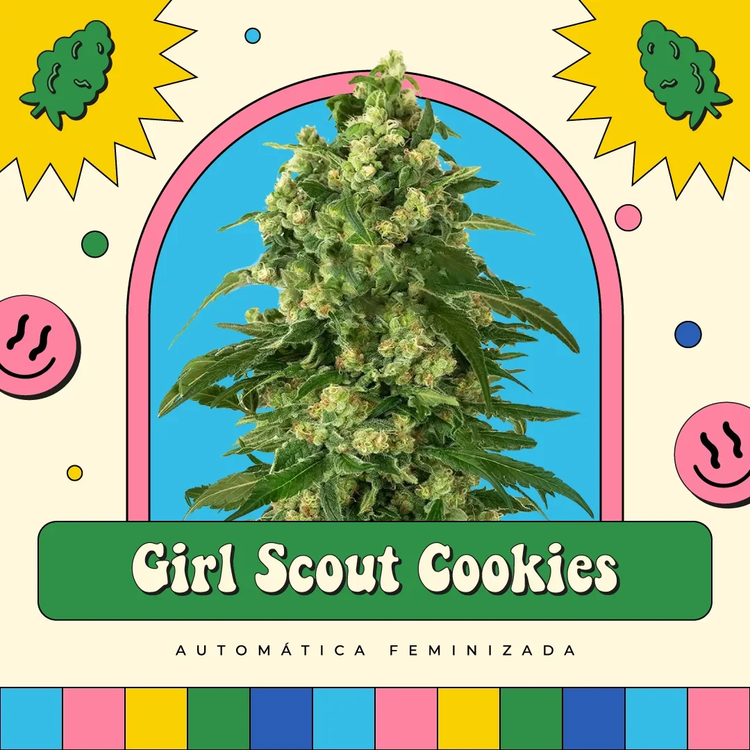 Girl Scout Cookies
