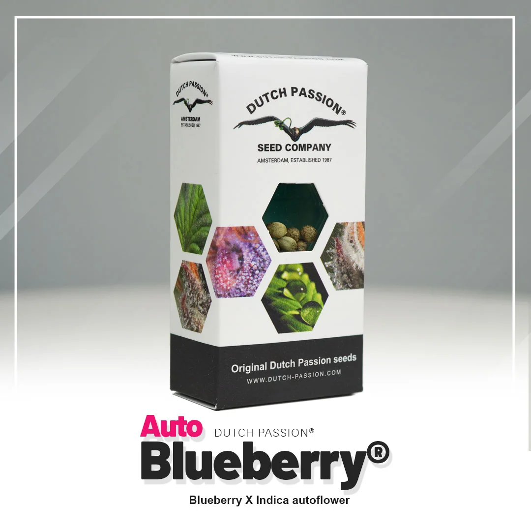 Blueberry