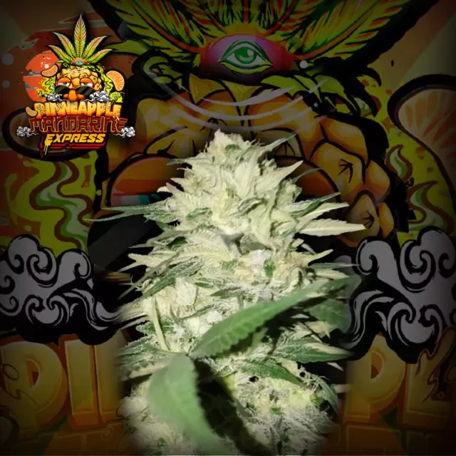 Pinneapple Mandarin Express