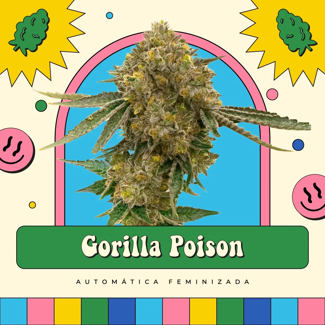Gorilla Poison