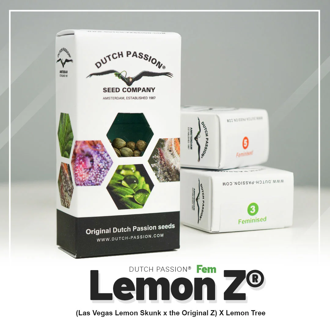 Lemon Z