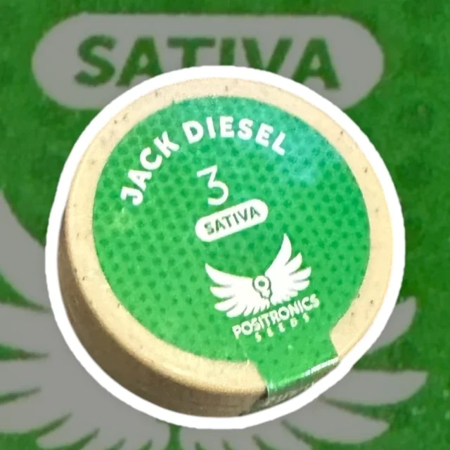 Jack Diesel