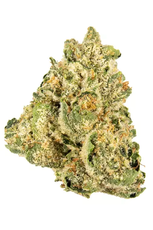 Jungle Cake 4