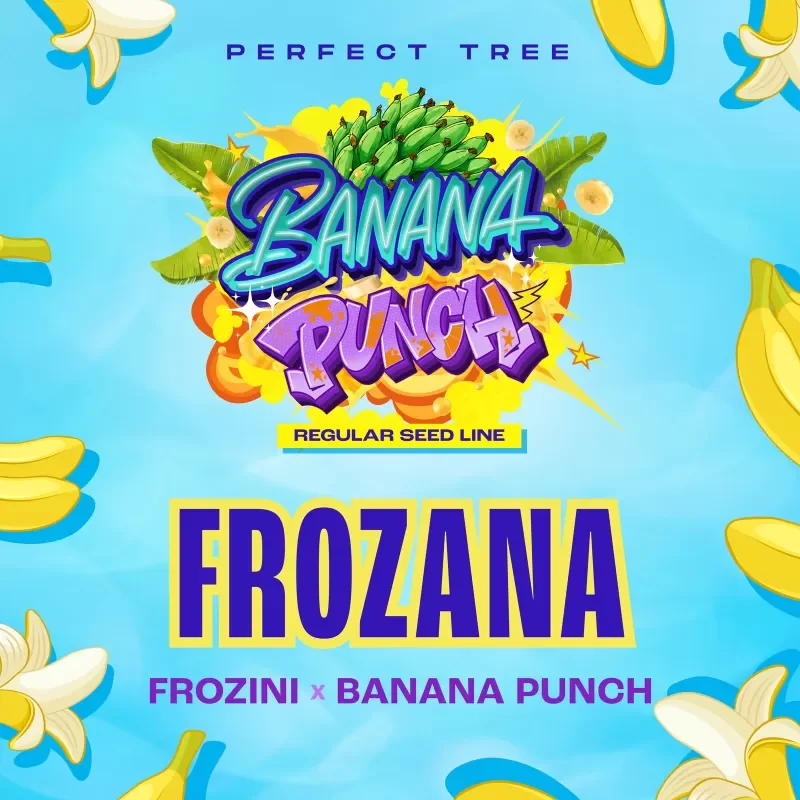 Frozana 3